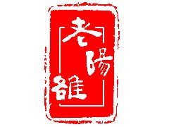 老雒阳人大代表参加涧西区两会