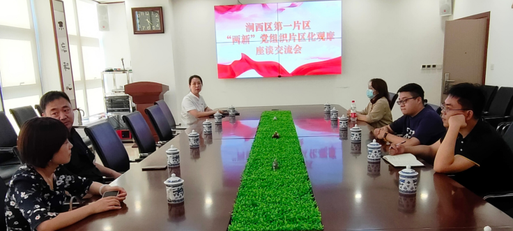 “两新”党组织观摩团视察公司党支部