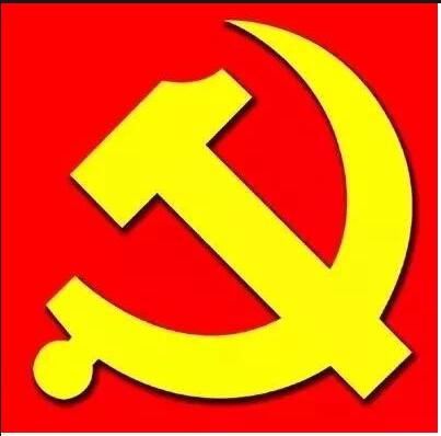 公司党支部向上级党委汇报工作