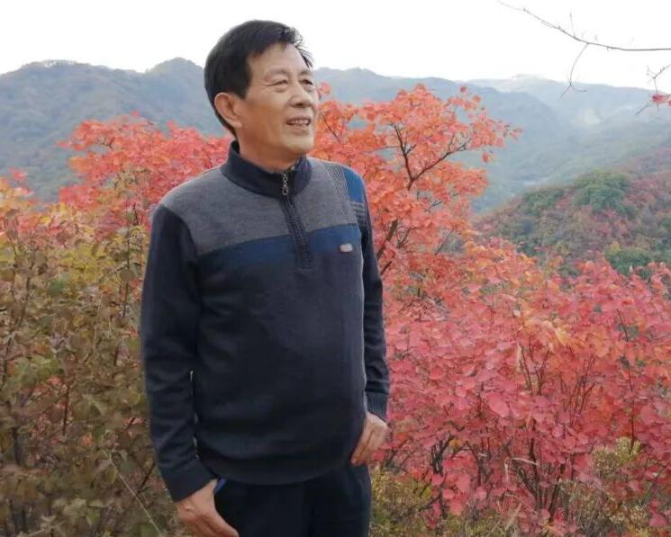 洛阳浆面条