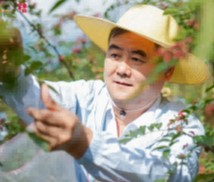 叶禹州实地考察汉源花椒原产地